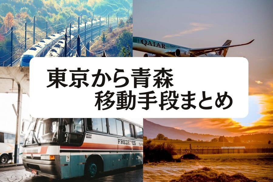 23年最新 東京から青森の移動手段まとめ 飛行機 新幹線の値段と所要時間を徹底比較 移動手段比較 Com