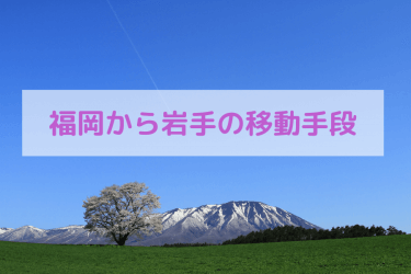 【2024年度版】福岡から岩手の移動手段まとめ｜飛行機・新幹線の値段と所要時間を徹底比較！