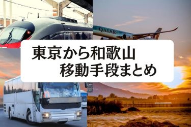 【2024年最新】東京から和歌山の移動手段まとめ｜飛行機・新幹線の値段と所要時間を徹底比較！