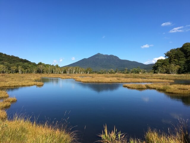 尾瀬国立公園