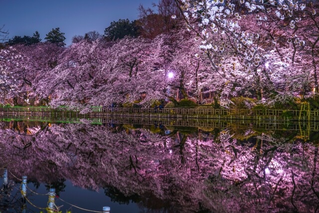 井の頭恩賜公園