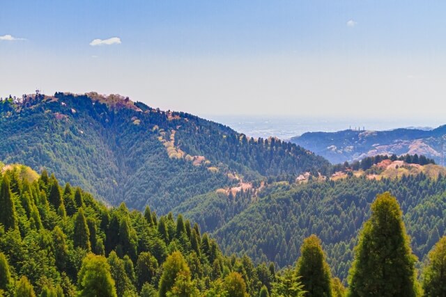 高尾山