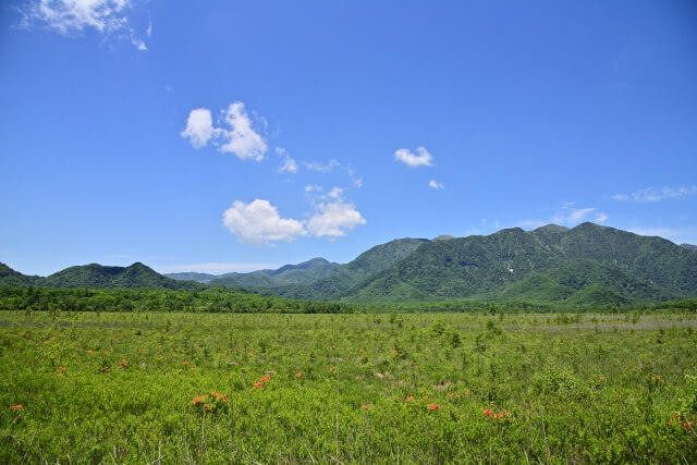 戦場ヶ原