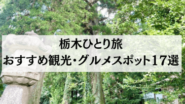 【2024年4月最新】栃木ひとり旅におすすめの観光・グルメスポット17選を紹介！