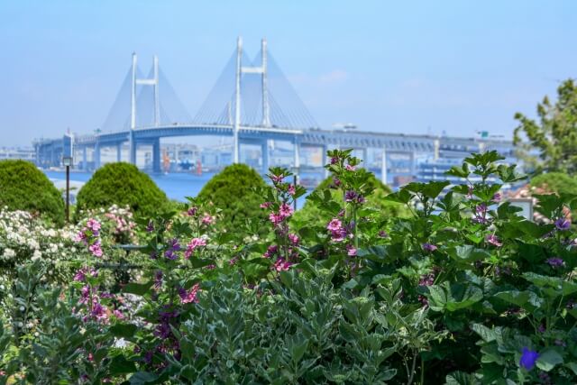 港の見える丘公園