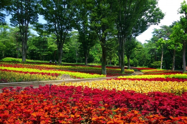 国営武蔵丘陵森林公園