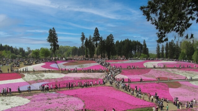 羊山公園