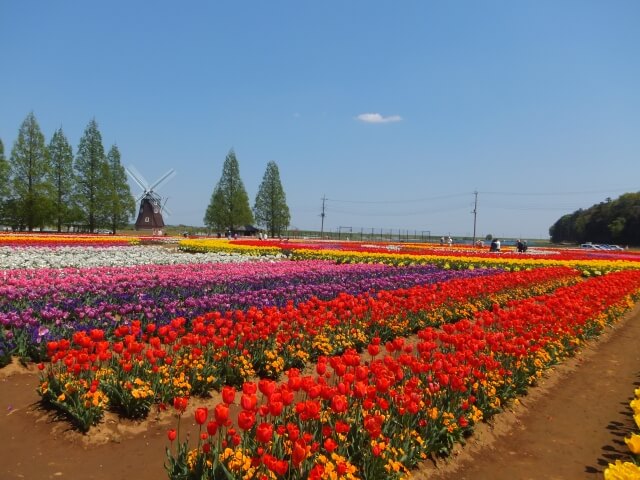 あけぼの山農業公園