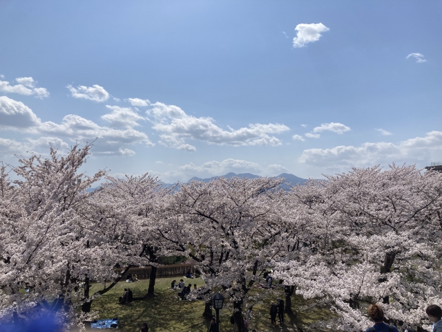 盛岡城跡公園