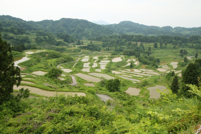 星峠の棚田