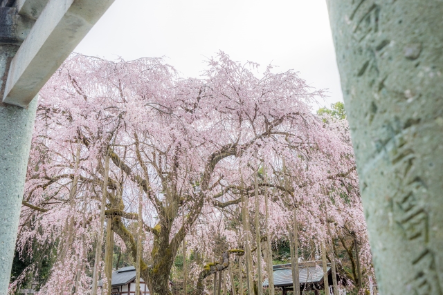 足羽神社