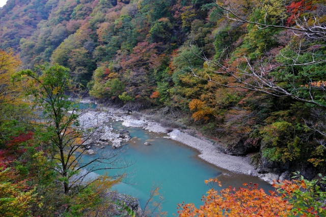 秋の宮温泉郷 鷹の湯温泉