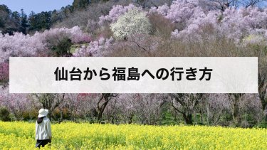 【2026年最新】仙台から福島の行き方を比較｜新幹線・高速バス・在来線・車の料金と時間