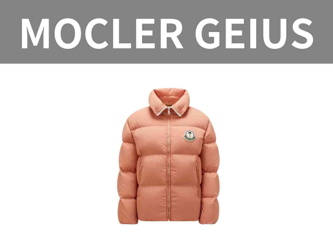 MOCLER GEIUSの買取相場