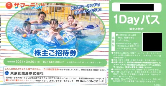 サマーランド 1dayパス 大人2枚 小中学生2枚 計4枚
